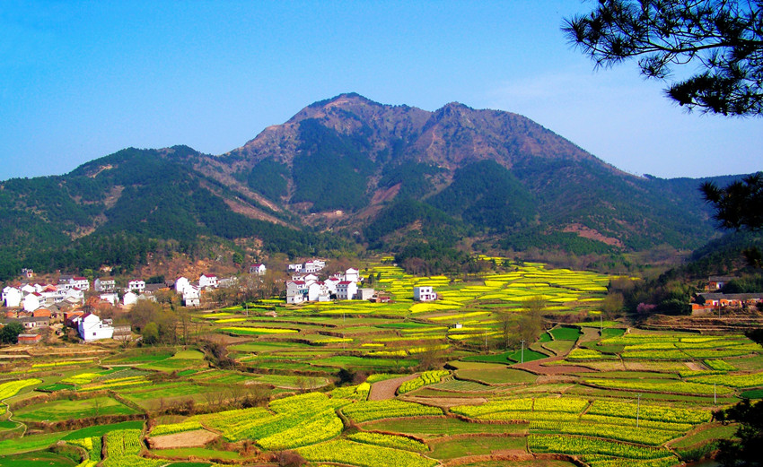 安徽省安庆市太湖县纪检监察网