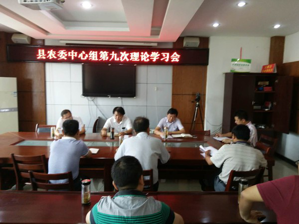 图片1_副本.png