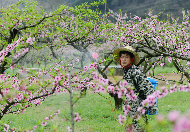 太湖县教育局姜晗彦 (5).JPG