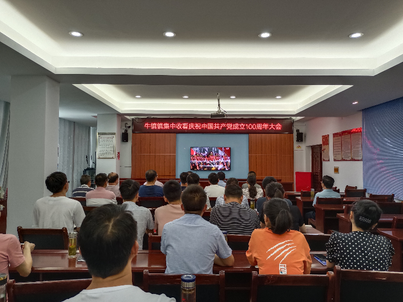 牛镇镇镇干职工收看大会盛况.jpg