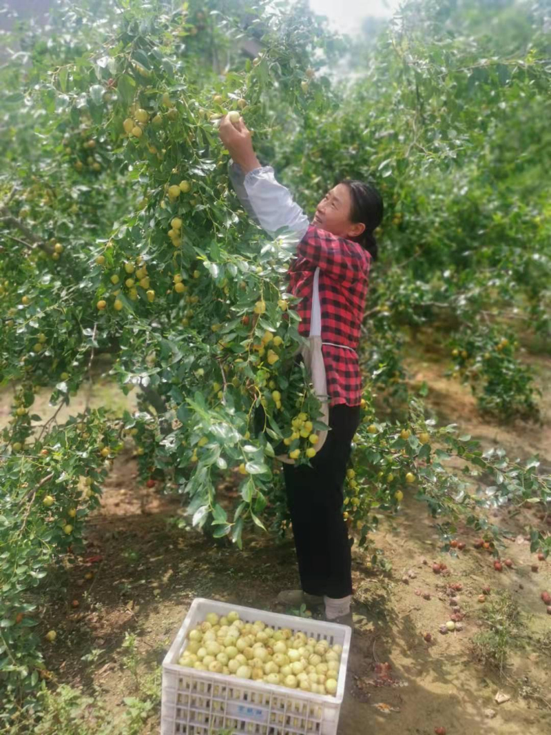 微信图片_20210907172650.jpg