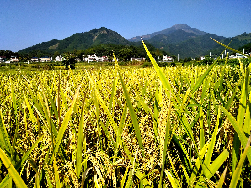 县直工委.jpg