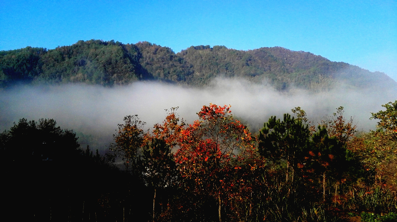 IMG_20211017_122436.jpg