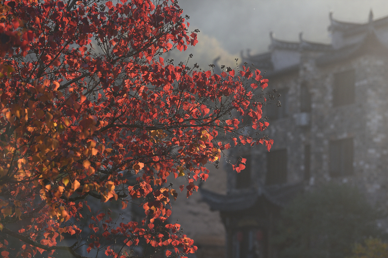 微信图片_20211109154457_副本.jpg