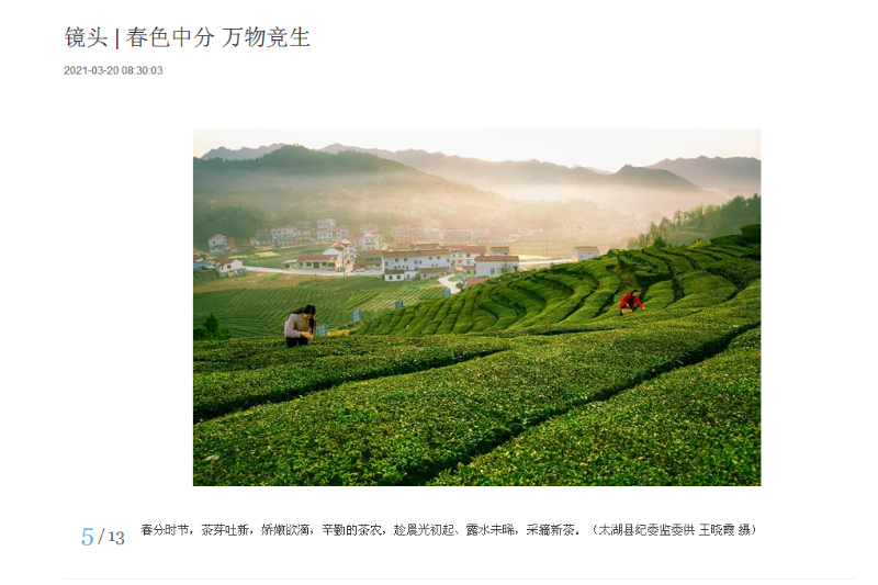 QQ截图20211223154038.png