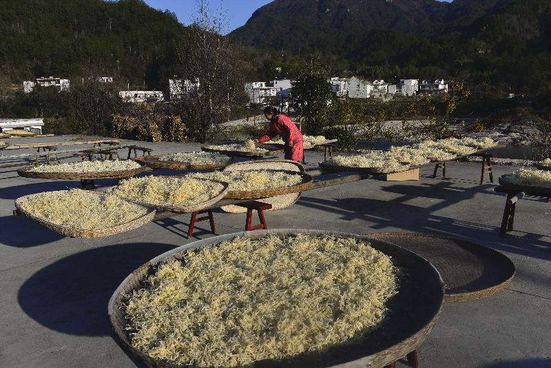 4豆粑 李登求摄_副本.jpg