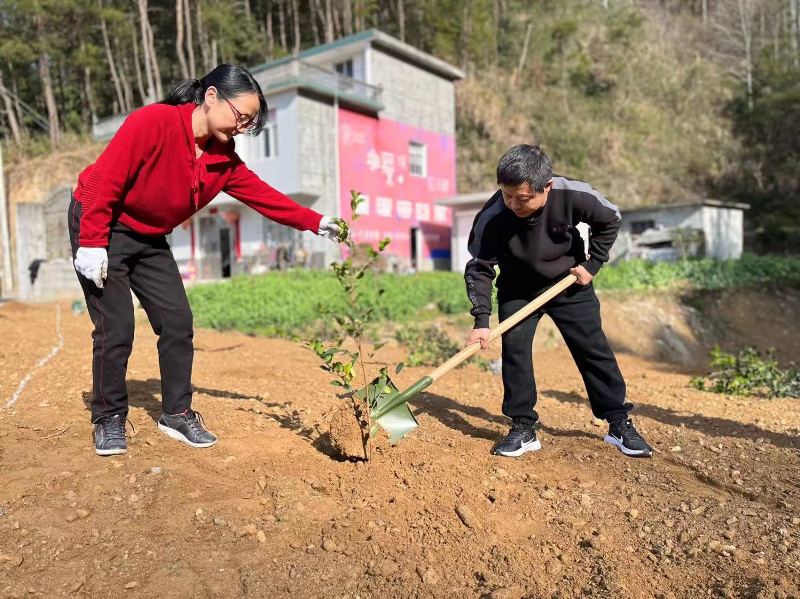 3月8日，牛镇镇百余名干部职工、人大代表及群众代表来到龙湾村七椅山，一起种下月季、铁树、麦冬、雪松、桂花等树苗，为牛镇镇的初春的添上一抹新绿。七椅山的土坡上党旗飘扬，到处是热火朝天的植树场面。镇党政主要负责同志身先士卒，大家甩开膀子，两三人成一组，熟练地扶正苗木、奋力铲土、培紧踩实、拎桶浇水。经过一番辛勤劳作，新种植的2000余株树苗整齐地立在山坡上，错落分布、迎风挺立，呈现出勃勃生机，成为一道亮丽的风景。_副本.jpg