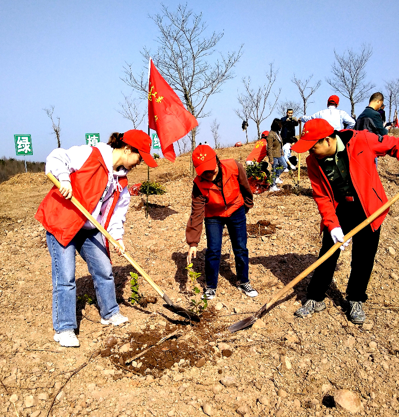 3月11日，县直工委党员志愿者到新仓镇黄岭村开展植树活动。摄影鲁传东_副本.jpg