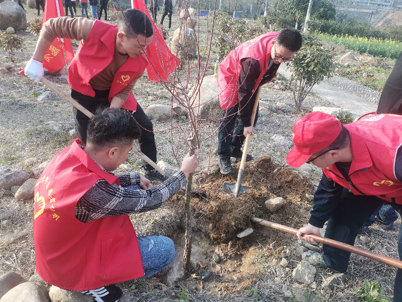 春回大地，万象更新，在第44个植树节到来之际，3月7日，刘畈乡组织乡、村党员干部、志愿者40余人到学士公园开展义务植树活动，为美丽乡村添绿增色。王燕_副本.jpg