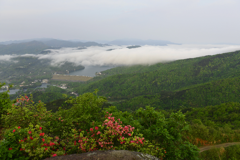 1春暖花开 李登求摄_副本.jpg