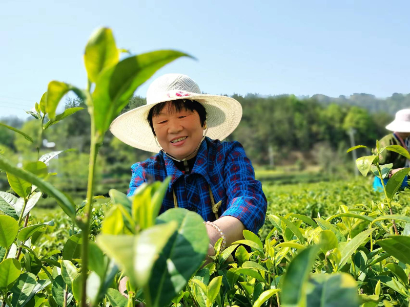 刘畈乡_副本.jpg