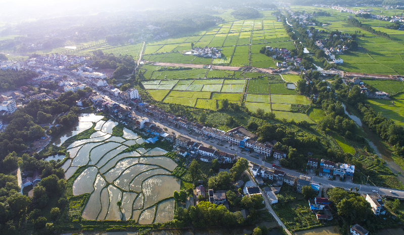 小池_副本.jpg