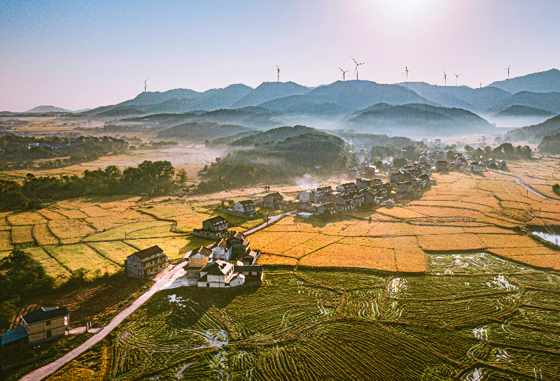 风景独好-王晓霞-2021年10月拍摄于徐桥镇汪家初阳门-17755682967_副本.jpg