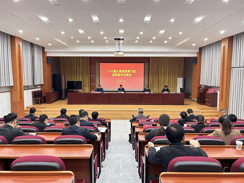 集中反馈.jpg
